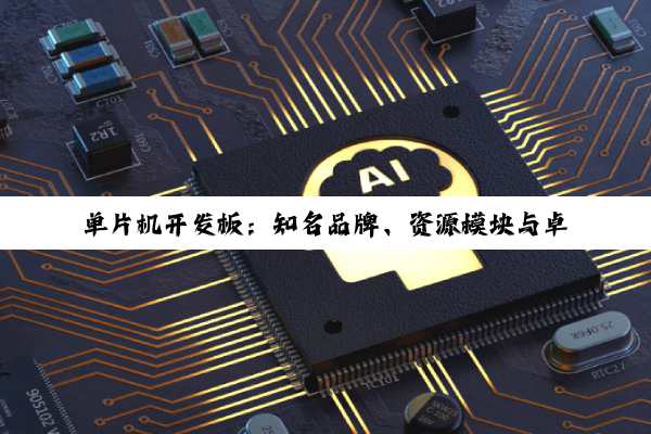 单片机开发板：知名品牌、资源模块与卓越公司的深度探索