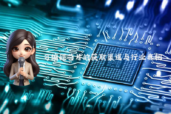 可编程芯片的获取渠道与行业真相